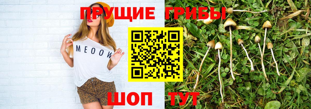 Галлюциногенные грибы ЛСД Тверь