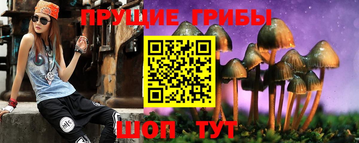 Тверь  Псилоцибиновые грибы Psilocybine cubensis  Вход с VPN 